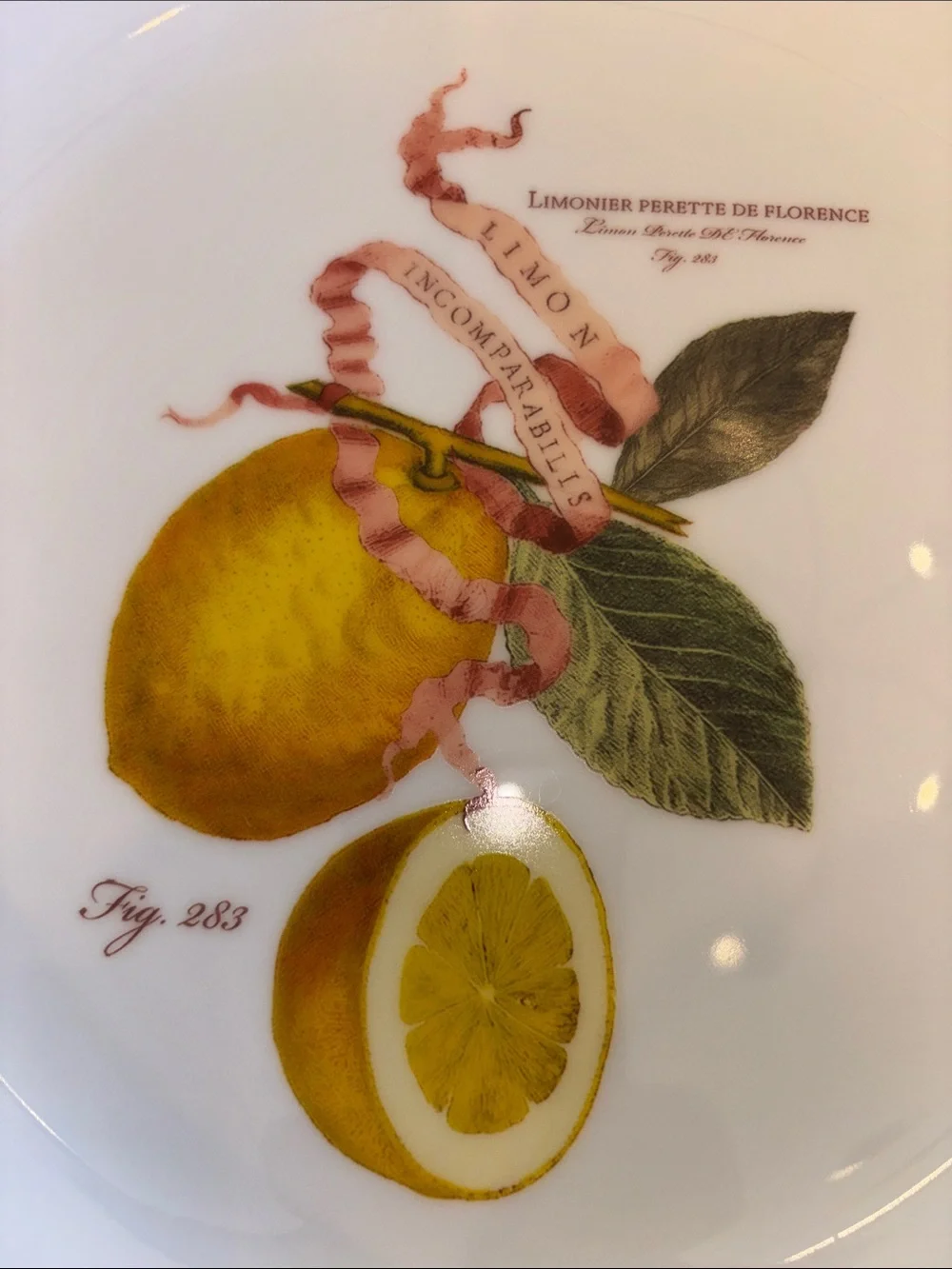 Williams & Sonoma White Large Ceramic Serving Bowl with Yellow Citrus Motif
